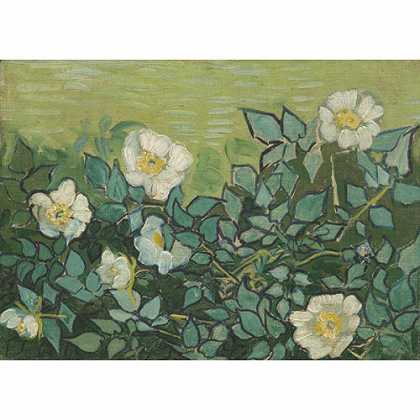 《野玫瑰》梵高1890年绘画作品赏析