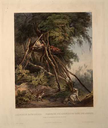 《阿西尼博因印第安人在树上的墓葬，来自《北美旅行》第一卷第30页》风景绘画赏析