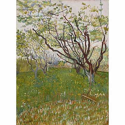 《正开花的果树园》梵高1888年绘画作品赏析