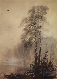 《湖边的松树》风景绘画赏析