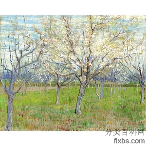 《桃红色果树园》梵高1888年绘画作品赏析