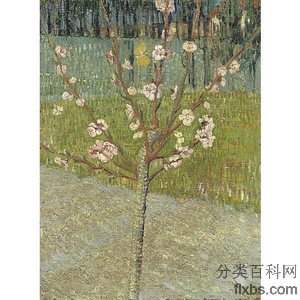 《盛开的杏树》梵高1888年绘画作品赏析