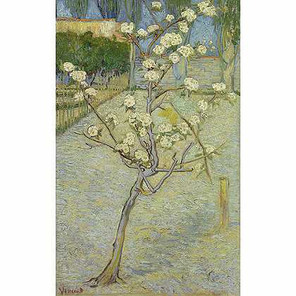 《盛开的小梨树》梵高1888年绘画作品赏析