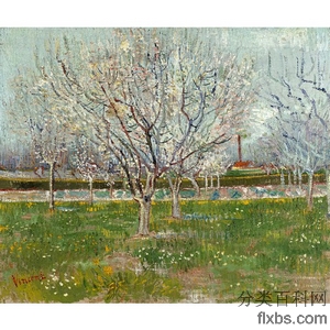 《盛开的果树园》梵高1888年绘画作品赏析