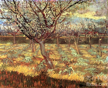 《盛开的杏花树》梵高绘画作品赏析