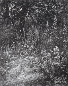 《森林的花朵》风景油画作品赏析