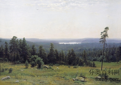 《森林视野》风景油画作品赏析