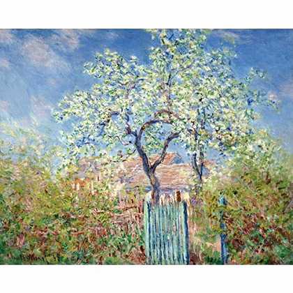 《盛开的梨树》莫奈1885年绘画作品赏析