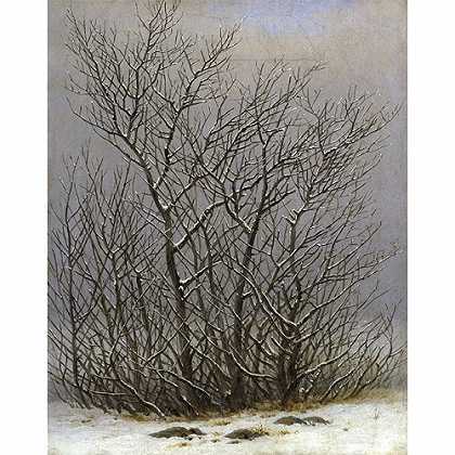 《雪地里的灌木丛》弗里德里希1827年绘画作品赏析