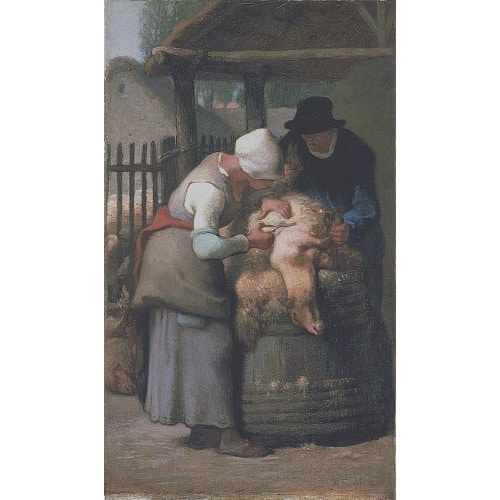 《剪羊毛》米勒1852年绘画作品赏析
