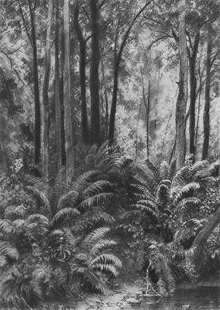 《在森林里的蕨类植物》风景油画作品赏析