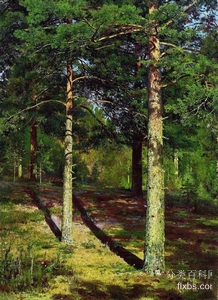 《太阳照耀下的松树》风景油画作品赏析
