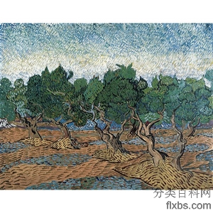 《橄榄树园》梵高1889版创作绘画赏析