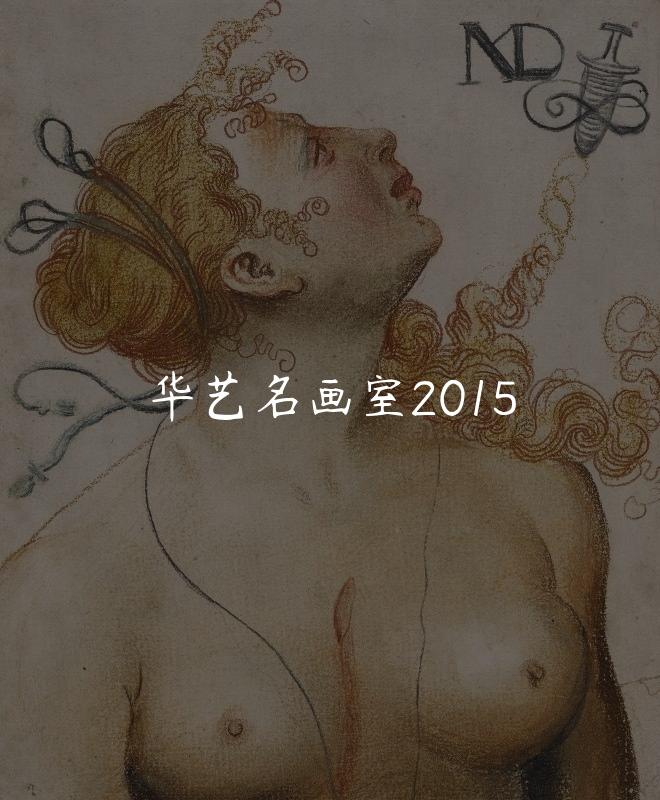 华艺名画室2015