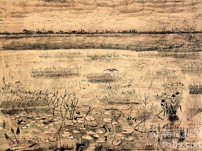 《沼泽与睡莲》梵高油画作品赏析
