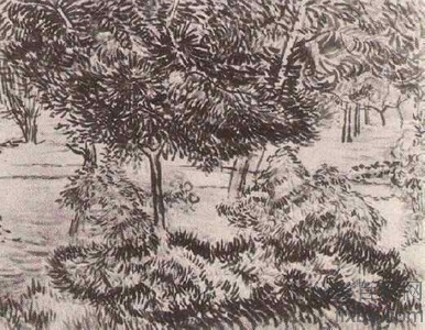 《树和灌木丛》梵高油画作品赏析