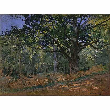 《枫丹白露森林的橡树》莫奈1865版创作绘画赏析