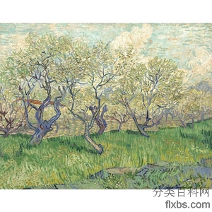 《盛开的果园》梵高1889版创作绘画赏析