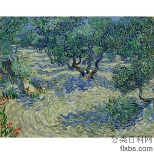 《橄榄树》梵高1889年创作绘画赏析