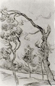 《在收容所的墙上看到的松树》梵高油画作品赏析