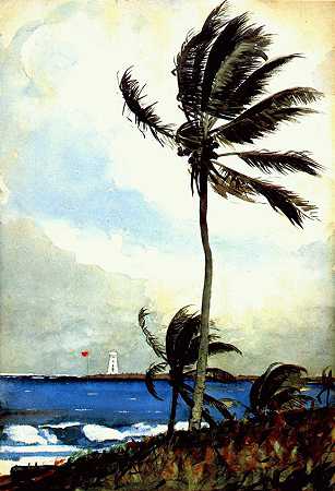 《拿索的棕榈树》风景油画赏析