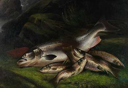 亨利·列奥尼达·罗尔夫 三文鱼和鳟鱼
