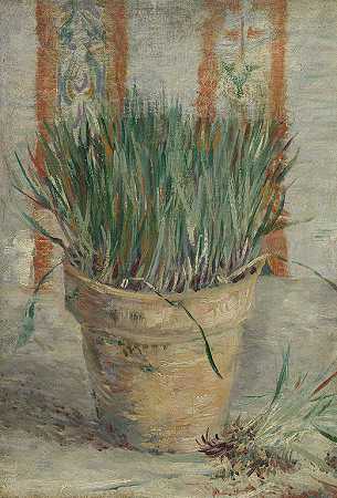 文森特·梵高（Vincent van Gogh）的(韭菜花盆)