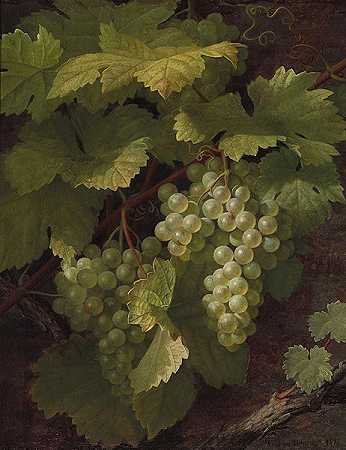 威廉·哈默（William Hammer）-绿葡萄（1878）