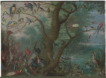 扬·范·凯塞尔（Jan van Kessel）-鸟类音乐会油画