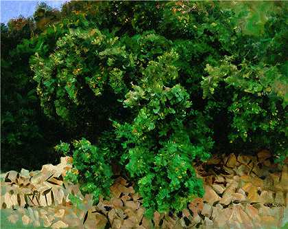 约翰·辛格·萨金特（John Singer Sargent）-冬青木。马略卡岛