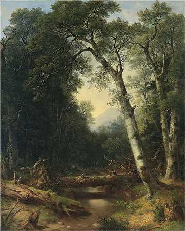 阿舍·布朗·杜兰德（Asher B.Durand）-树林中的小溪 1865年