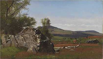 詹姆斯·麦克杜格·哈特（James Mcdougal Hart）-卡茨基尔的夏天 1865年绘画
