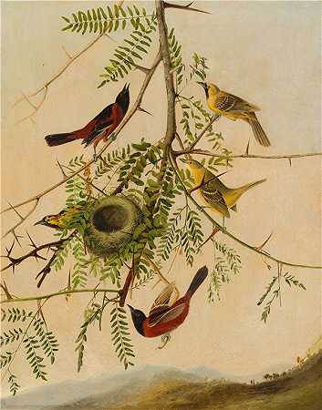 约瑟夫·巴塞洛缪·基德（Joseph Bartholomew Kidd）-果园黄莺 1830年绘画