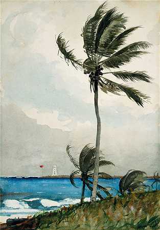 温斯洛·荷马 (Winslow Homer，美国画家)作品-拿骚棕榈树（1898 年）