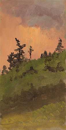 弗雷德里克·埃德温·丘奇（Frederic Edwin Church，美国画家）-(树林风景（1870）)