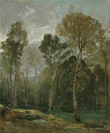 约翰·康斯特布尔（John Constable，英国画家）-(一棵树的看法)