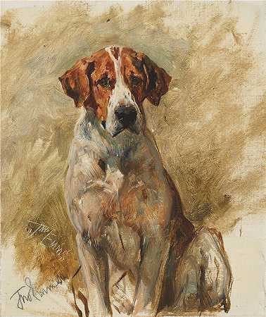 约翰·艾姆斯（John Emms，英国画家）-(研究猎犬)