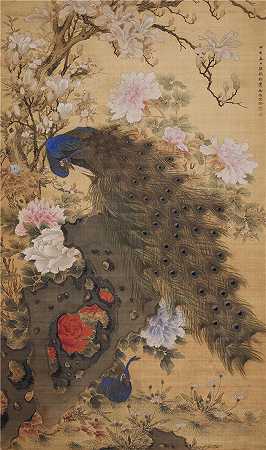 清 沈铨 (孔雀玉兰牡丹图)绢本 71×42