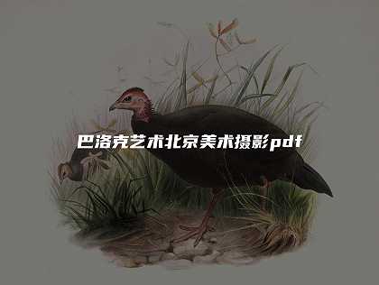 巴洛克艺术北京美术摄影pdf