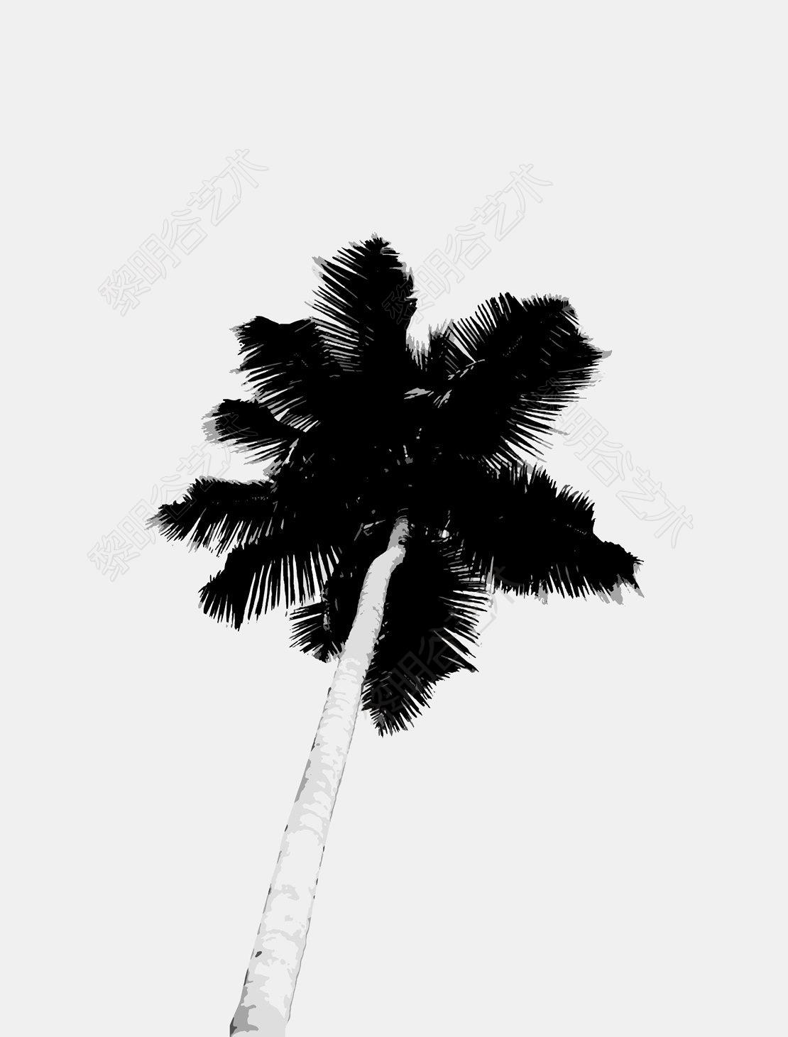 bw-palm-tree