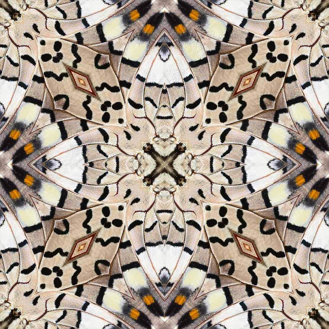 Annex - Abstract Butterfly Pattern