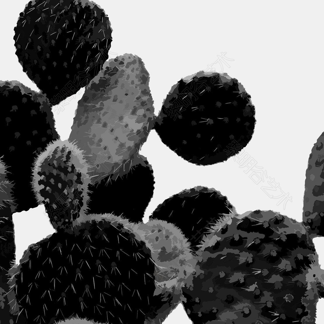 black-and-white-cactus
