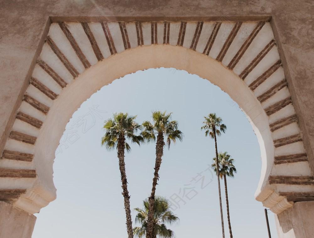 Marrakech Palms