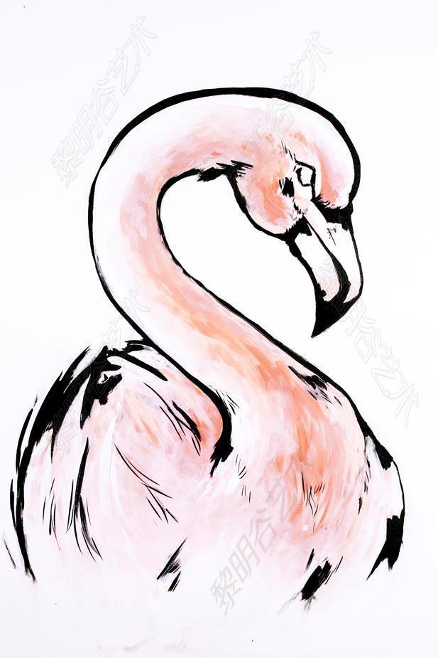 flamingo-2