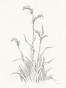 ~Farm Nostalgia Flowers V Dark Gray – 4866×6472px